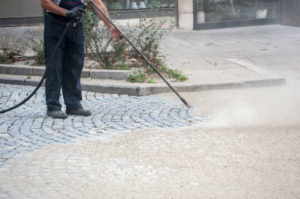 Best Pool Deck Cleaning  in Lodi, NJ